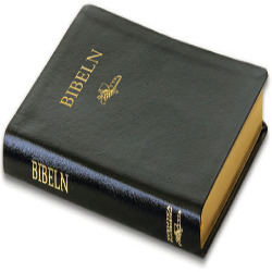 Folkbibeln 1998 Slimline cabraskinn svart