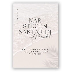 När stegen saktar in: Reflektionsbok