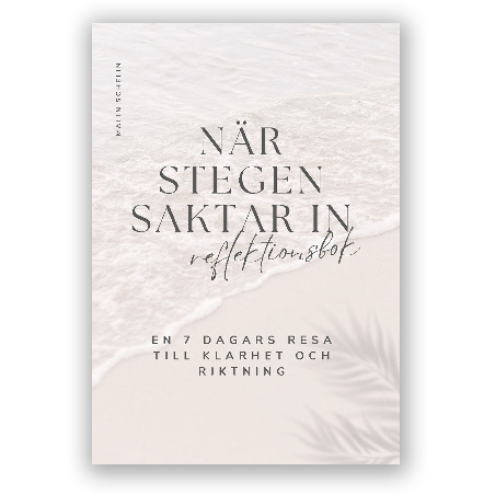 När stegen saktar in: Reflektionsbok